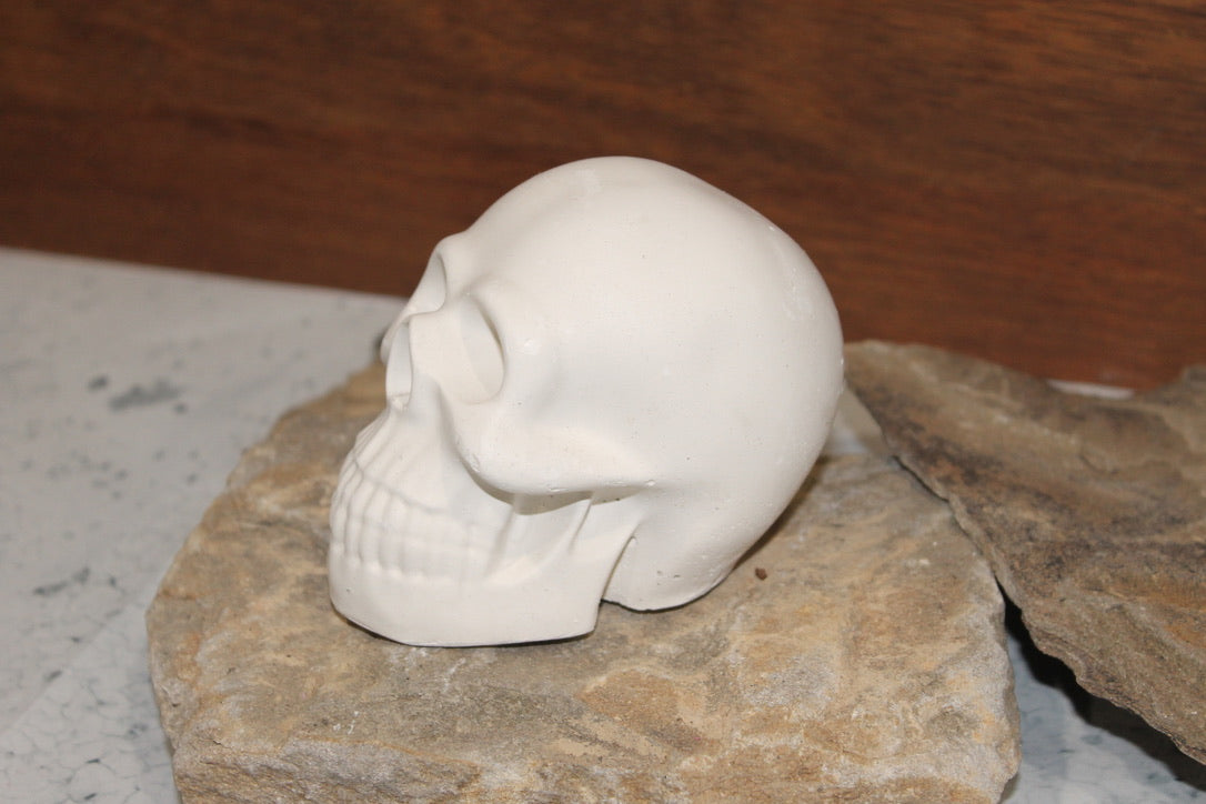 Skull plaster Base