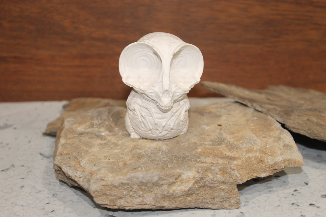 Owl Skeleton Raw Plaster Mold