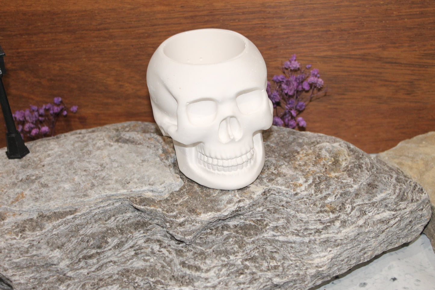 Skull planter raw plaster mold