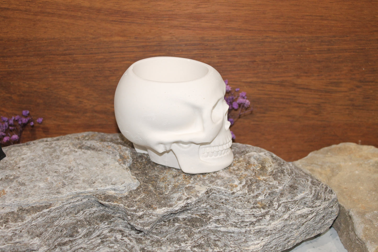 Skull planter raw plaster mold