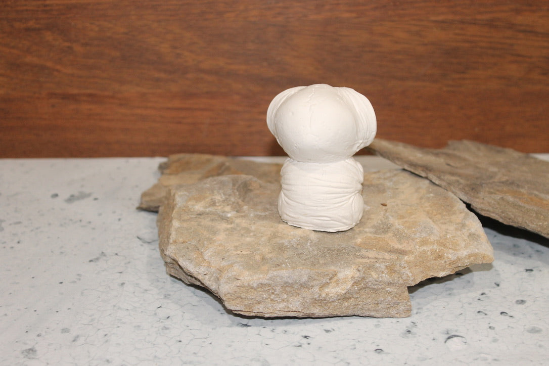 Owl Skeleton Raw Plaster Mold