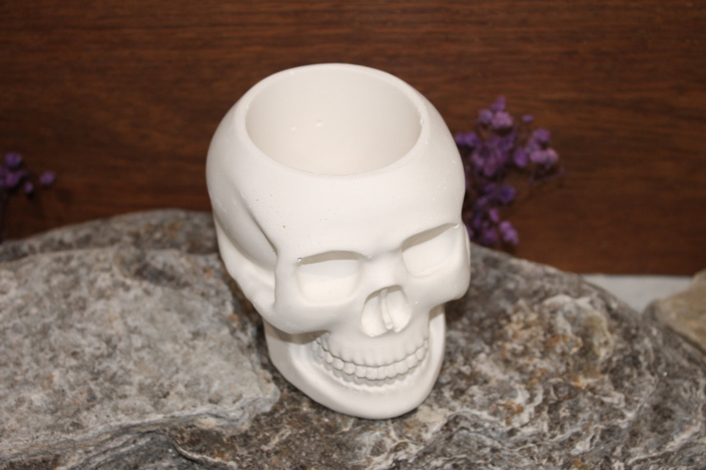 Skull planter raw plaster mold