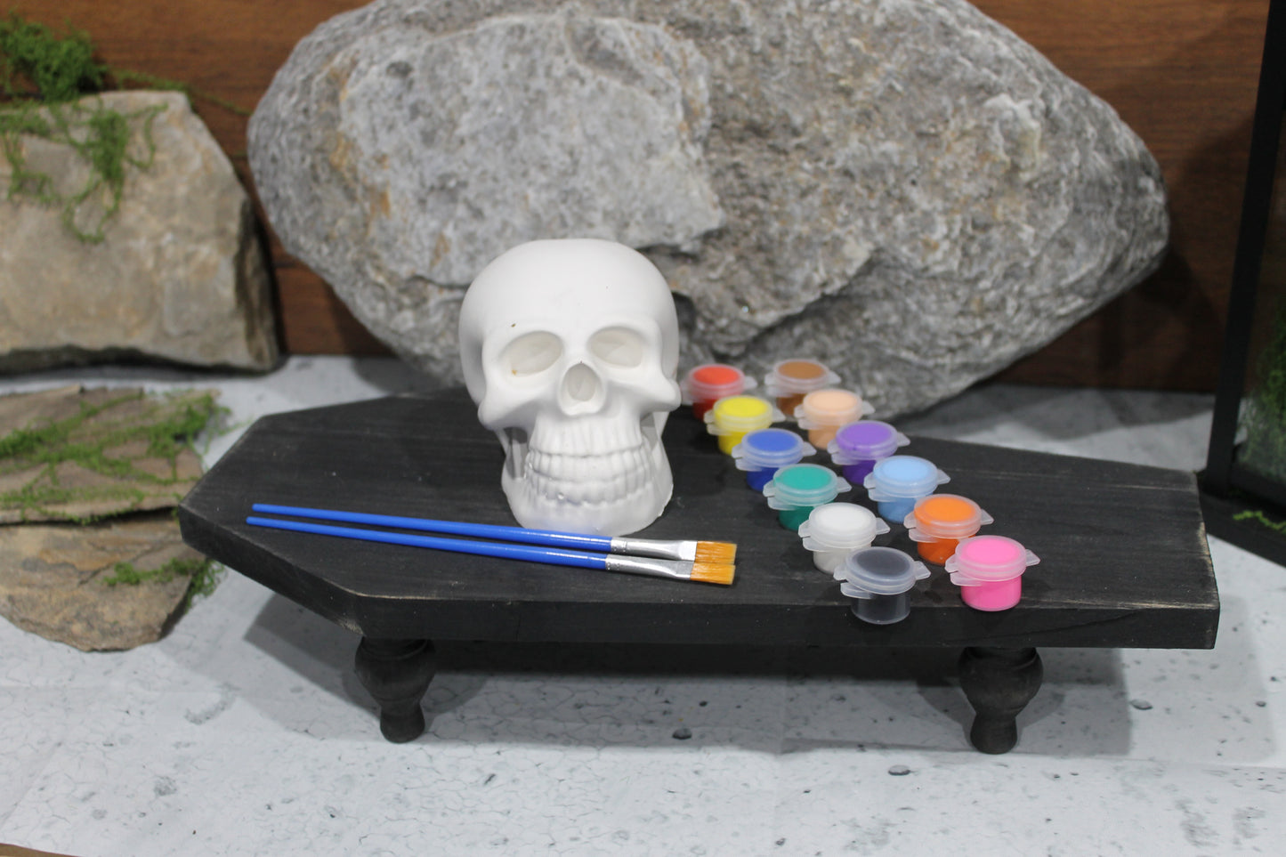 Solid Raw Plaster Skull Head Art Kit