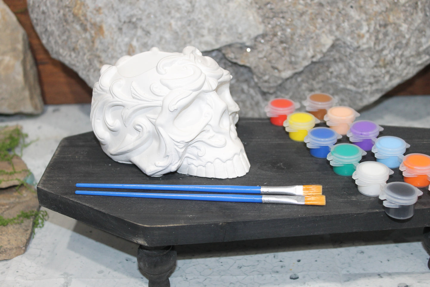 Bone Bloom Raw Plaster Skull Planter Art Kit
