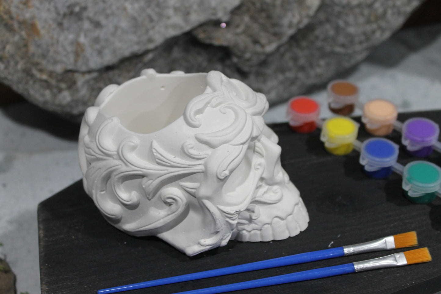 Bone Bloom Raw Plaster Skull Planter Art Kit