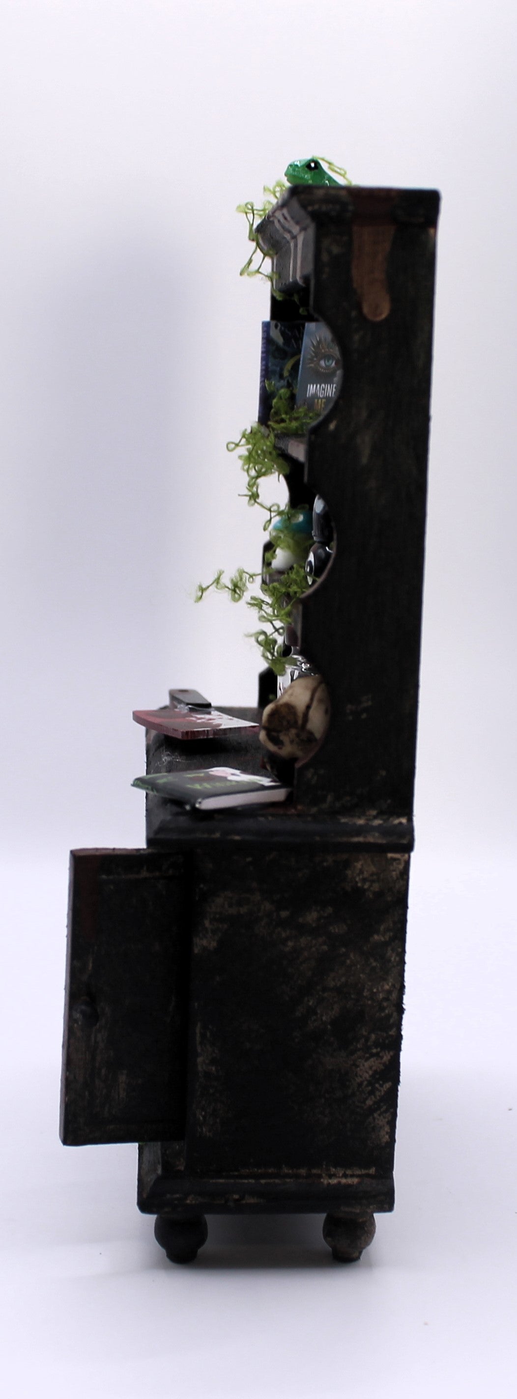 Miniature Cabinet of Curiosities