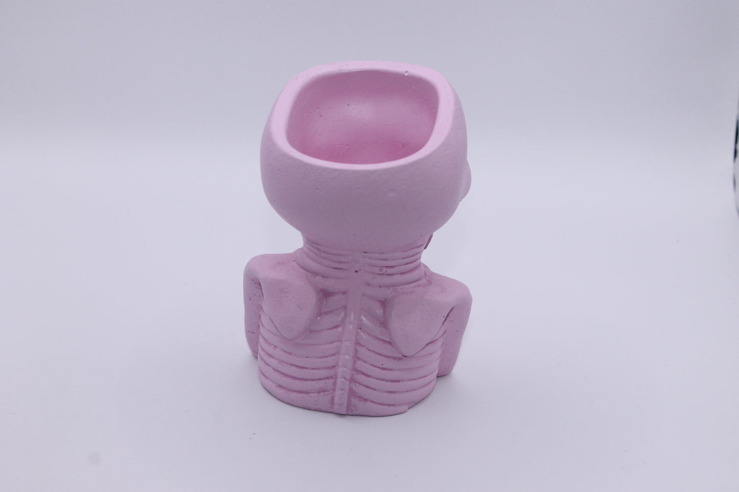 Pastel Pink Soul Cage skull planter