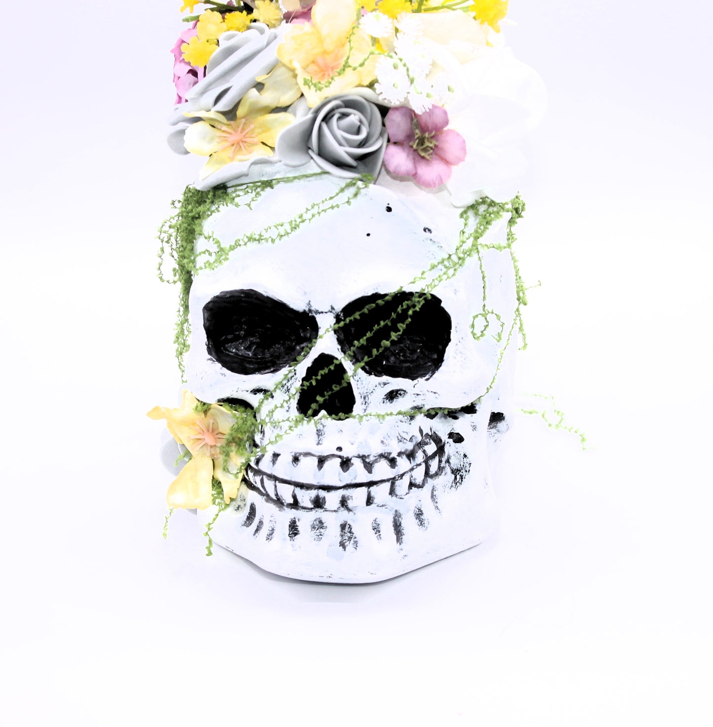 Sunlight and Silence Skull Decor