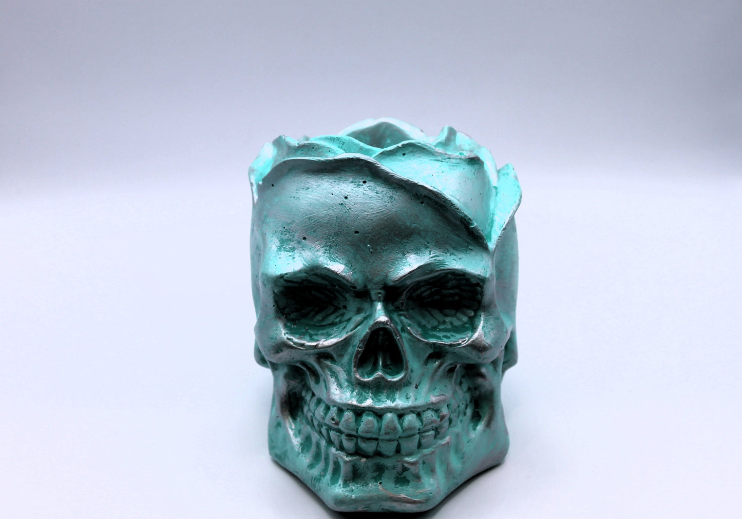 Mint Condition Skull Vessel