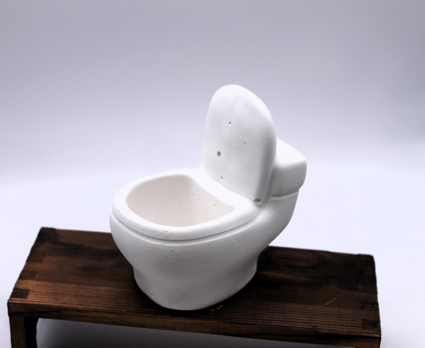 Dead and Dunny raw toilet plaster mold