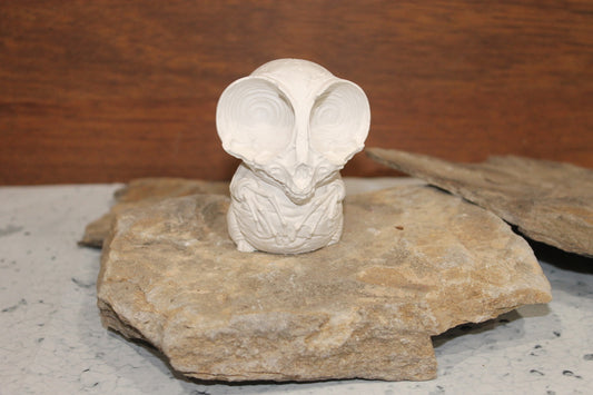 Owl Skeleton Raw Plaster Mold