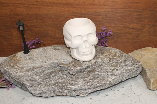 Skull planter raw plaster mold