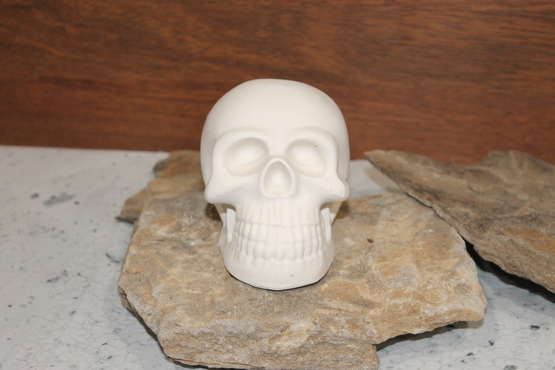 Skull plaster Base