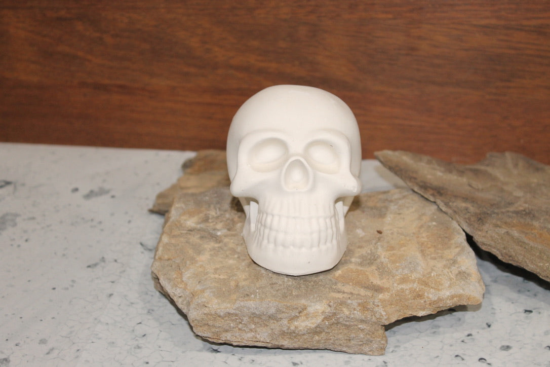 Skull plaster Base