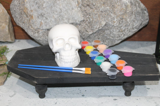 Solid Raw Plaster Skull Head Art Kit