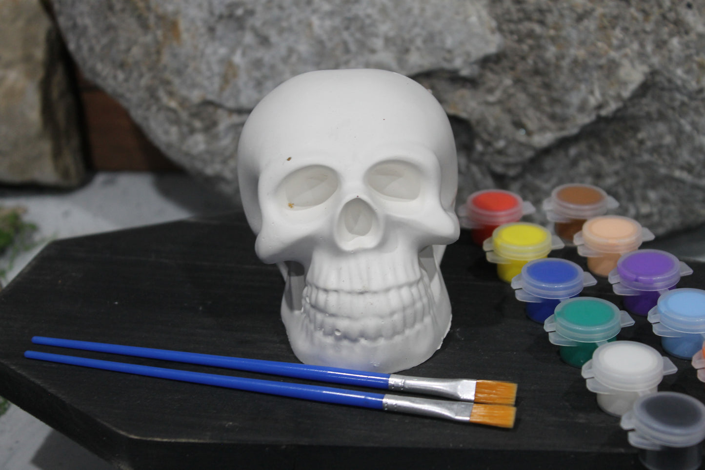 Solid Raw Plaster Skull Head Art Kit
