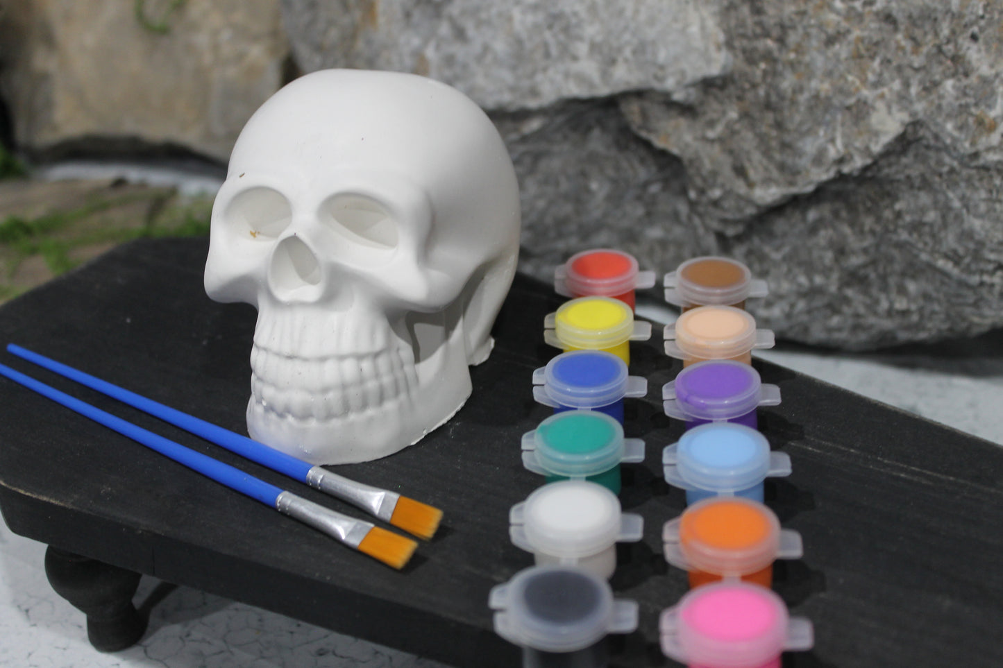 Solid Raw Plaster Skull Head Art Kit