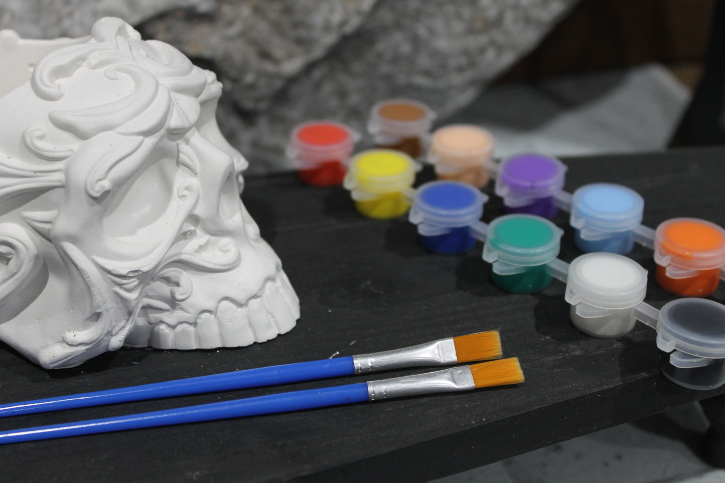 Bone Bloom Raw Plaster Skull Planter Art Kit