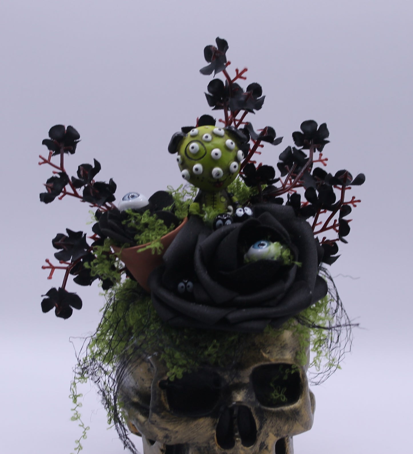 Eyeseed & Thorn Skull Macabre Decor