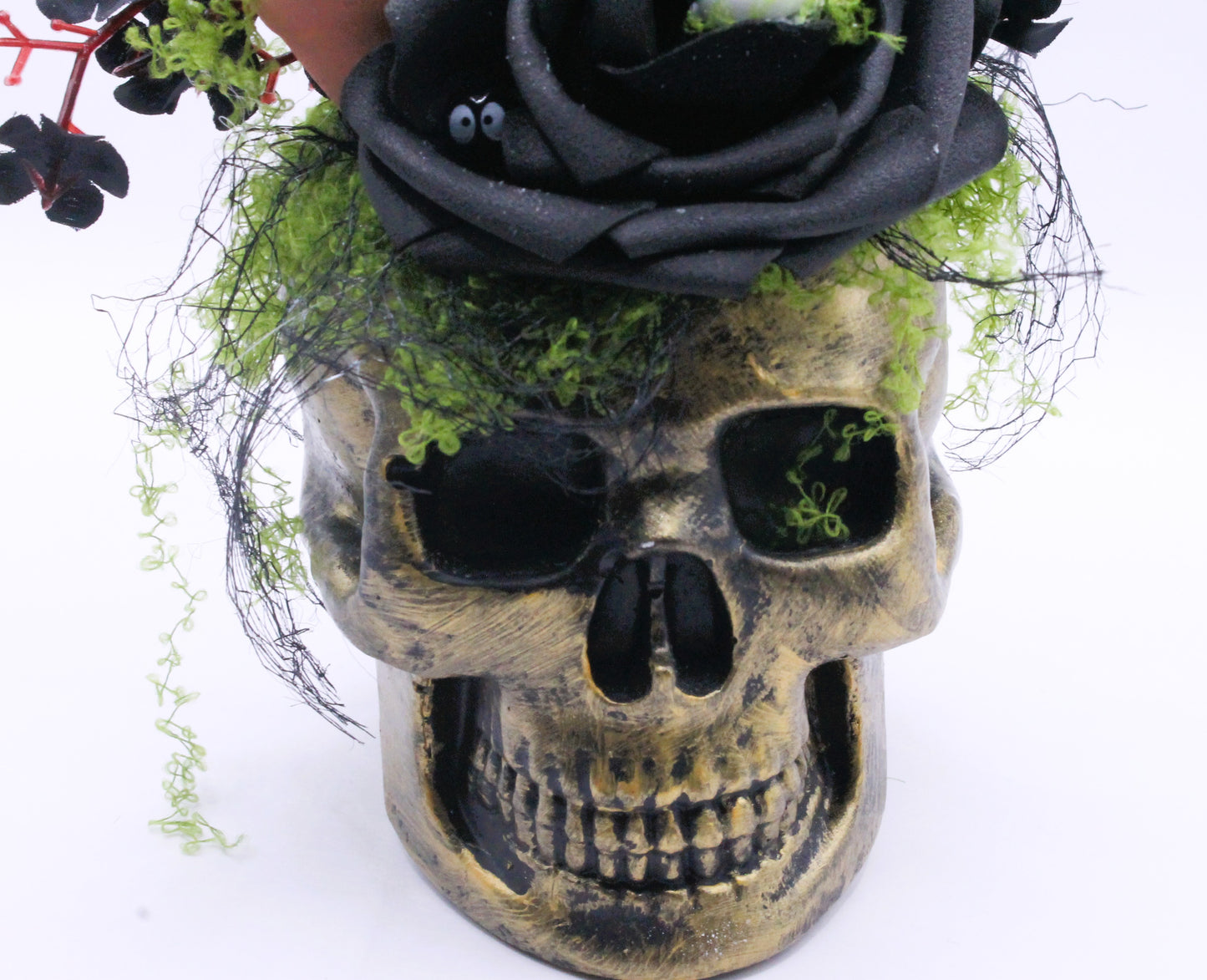 Eyeseed & Thorn Skull Macabre Decor