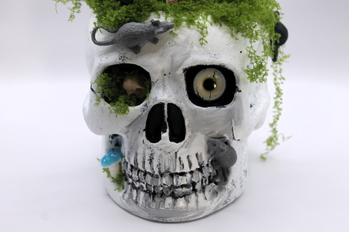 Gravedigger's Watch Skull Decor
