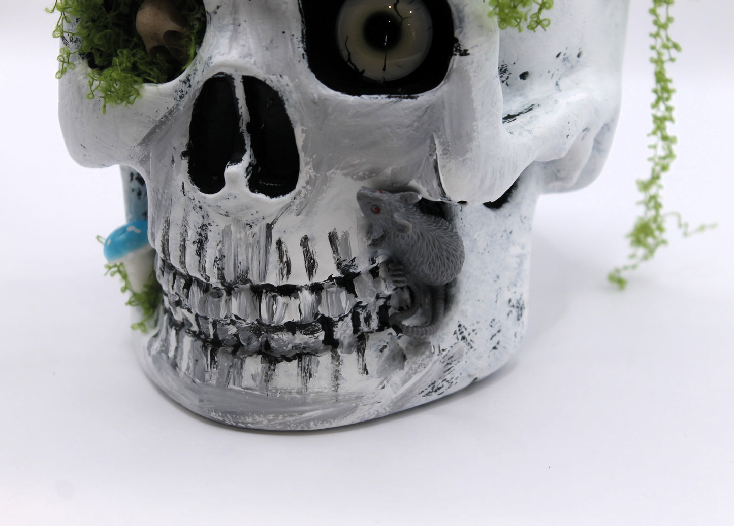Gravedigger's Watch Skull Decor