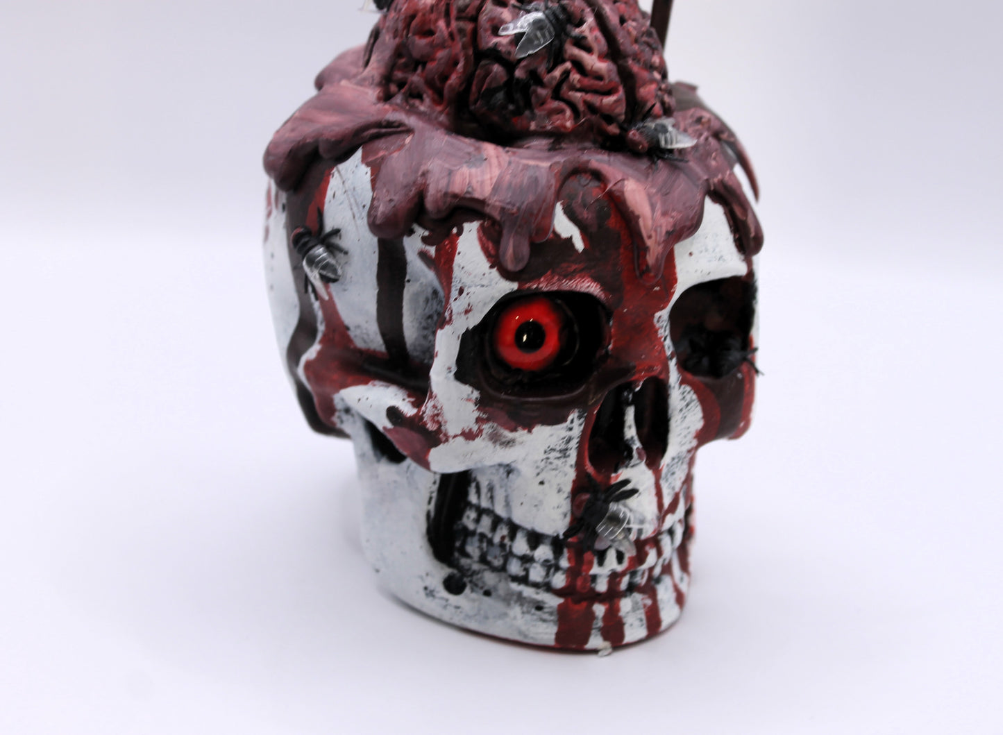 Dead of Mind Skull Macabre Decor