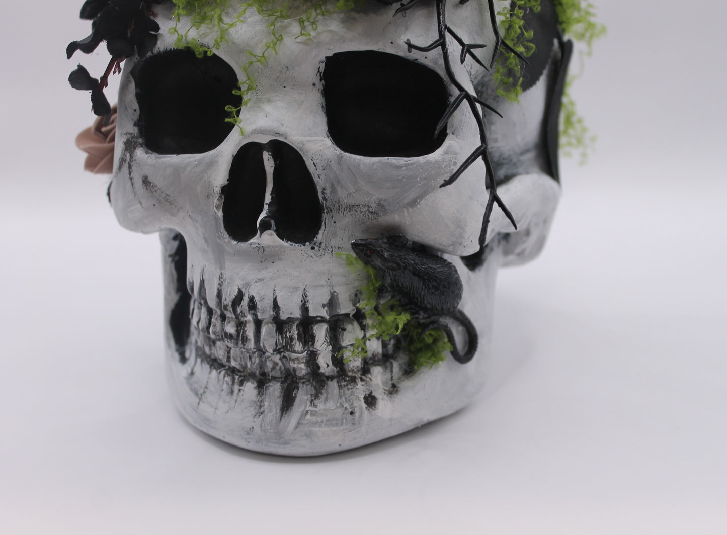 Watcher of the Withered Skull Decor