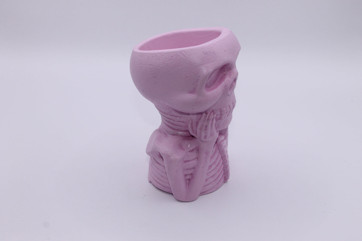 Pastel Pink Soul Cage skull planter
