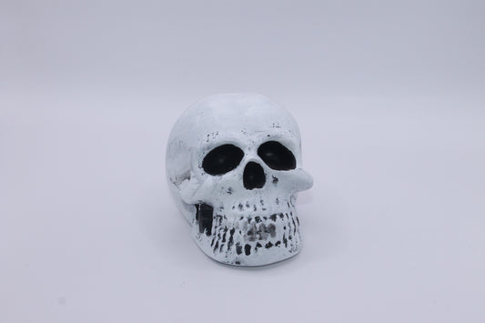 Whispers of Bone Skull