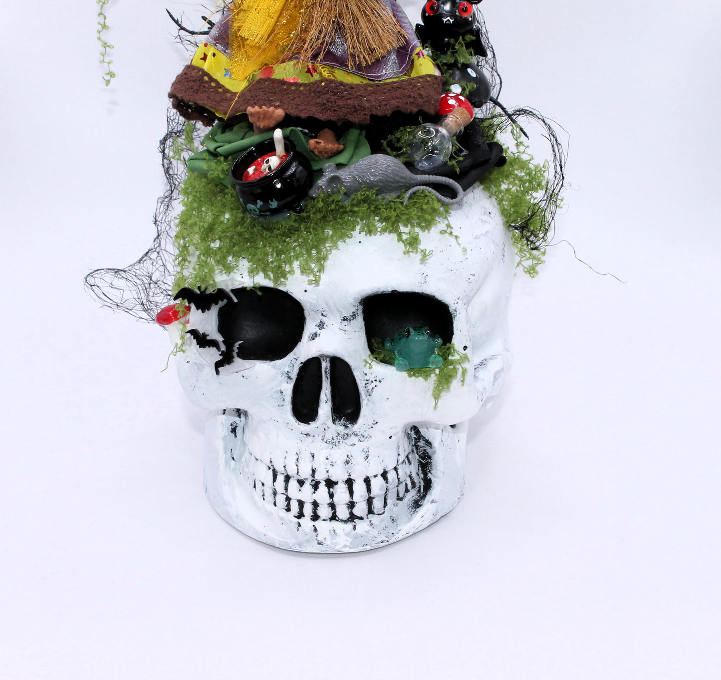 Hag’s Hollow Skull Decor