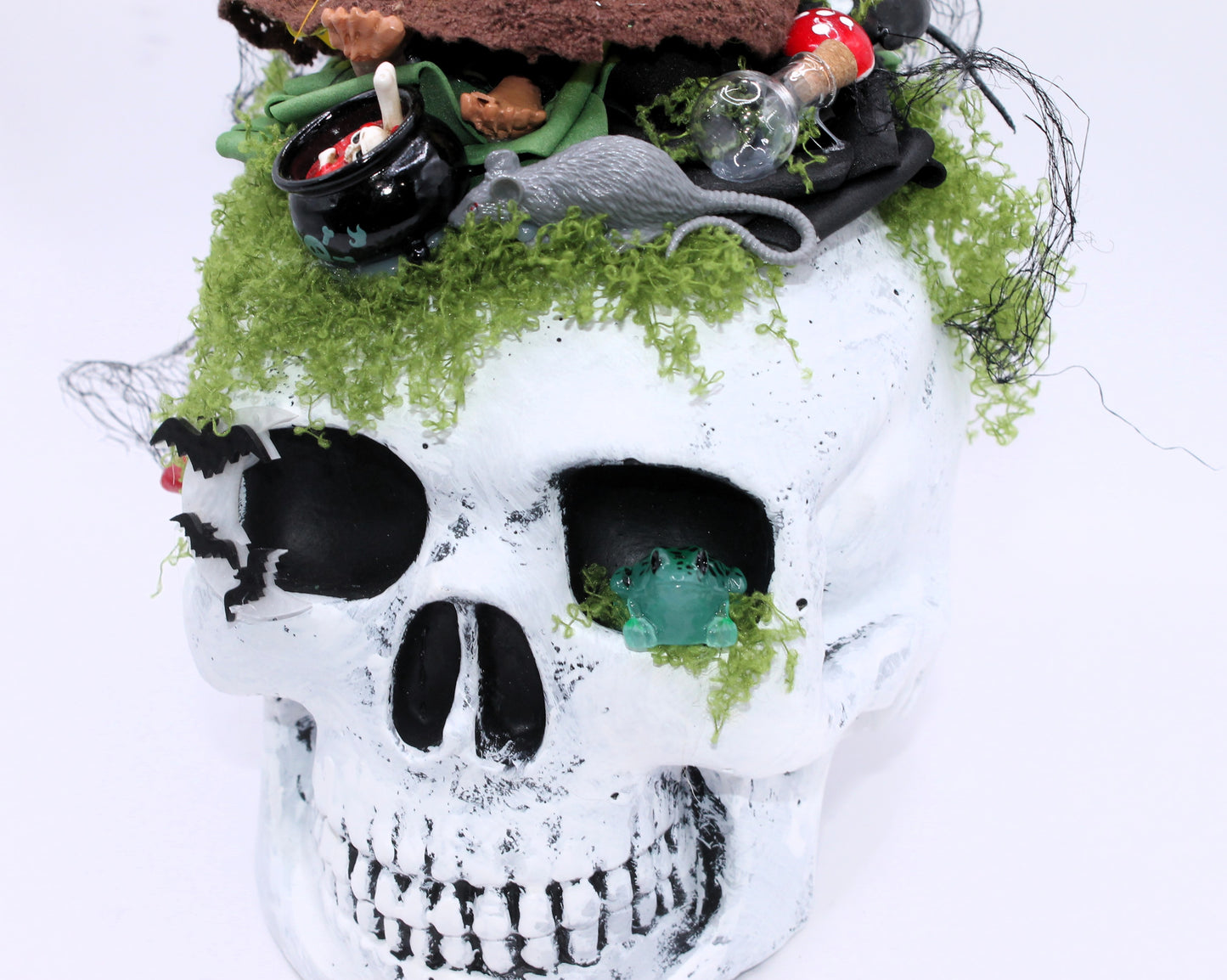 Hag’s Hollow Skull Decor