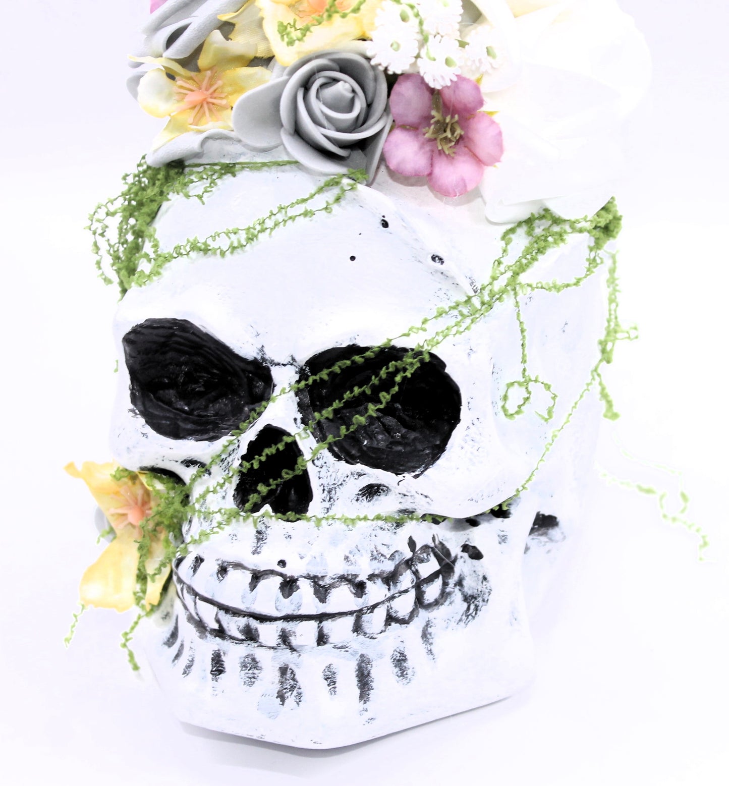 Sunlight and Silence Skull Decor