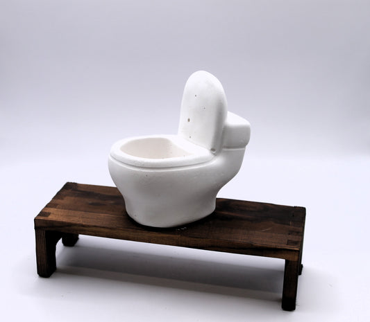 Dead and Dunny raw toilet plaster mold