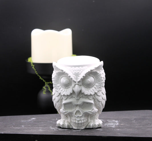Keeper of Secrets Owl with skull face raw plaster mold ready to paint