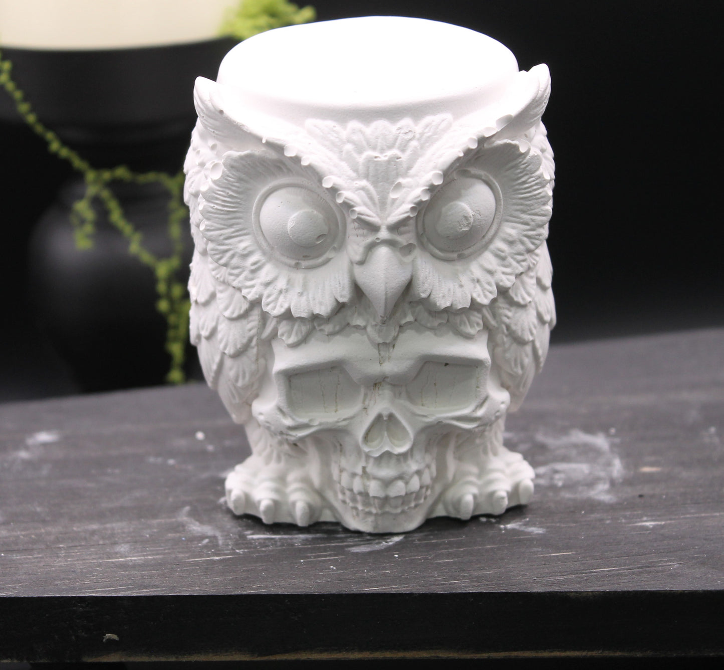 Keeper of Secrets Owl with skull face raw plaster mold ready to paint